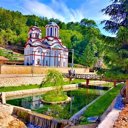 Apartman Studio Milojkovic Golubac Bagian luar foto