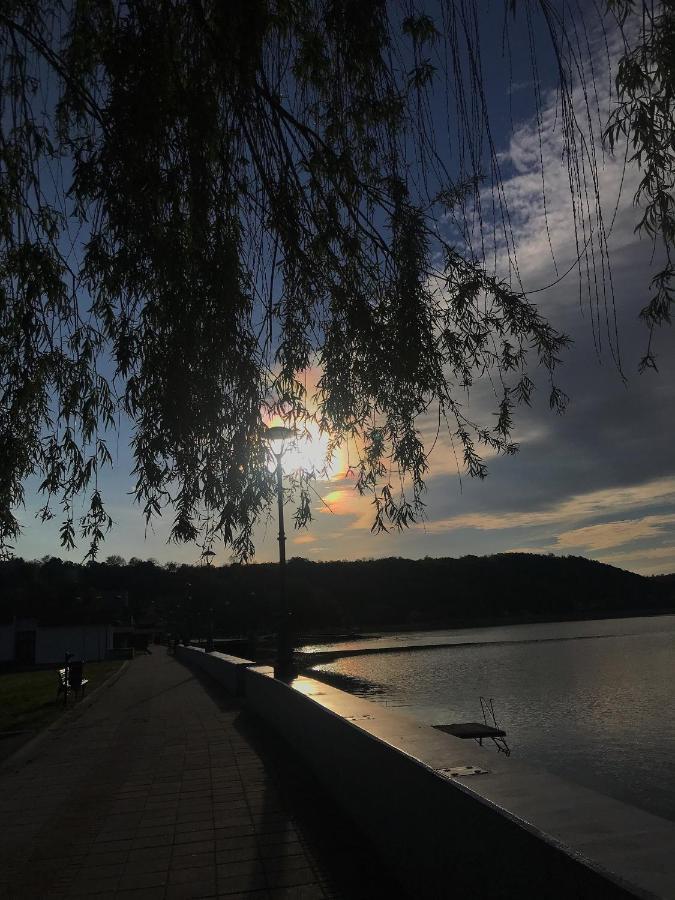Apartman Studio Milojkovic Golubac Bagian luar foto