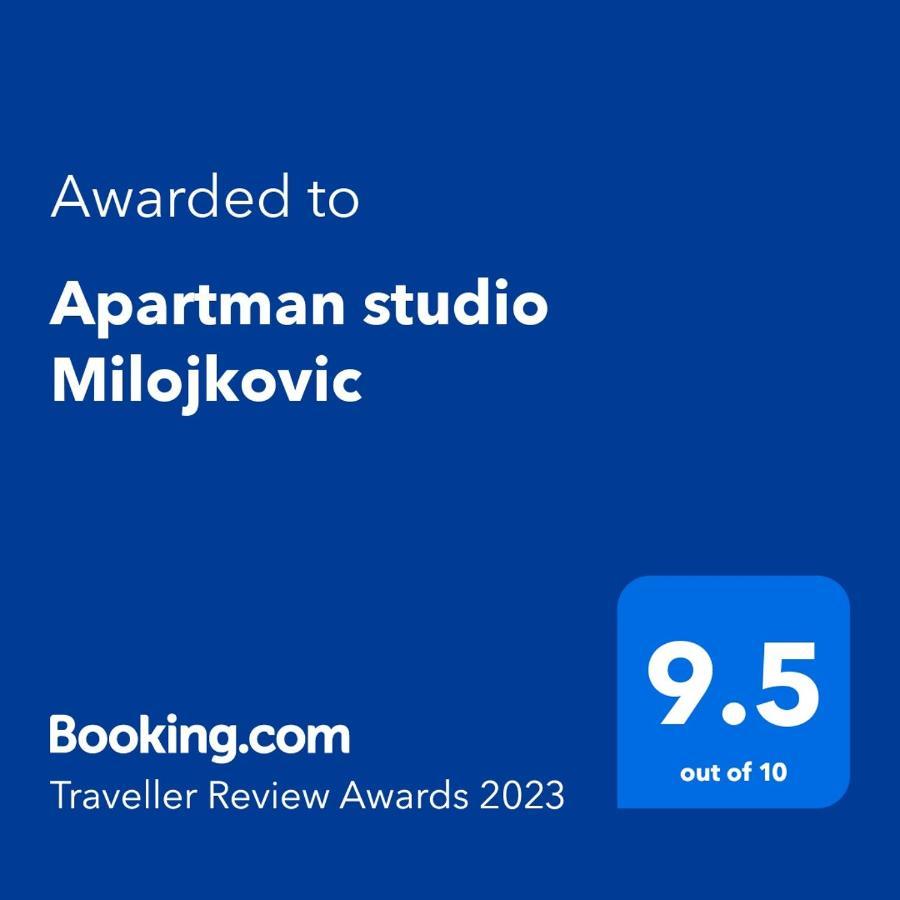 Apartman Studio Milojkovic Golubac Bagian luar foto